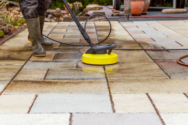 Best Solar Panel Cleaning  in Brownsville, TX