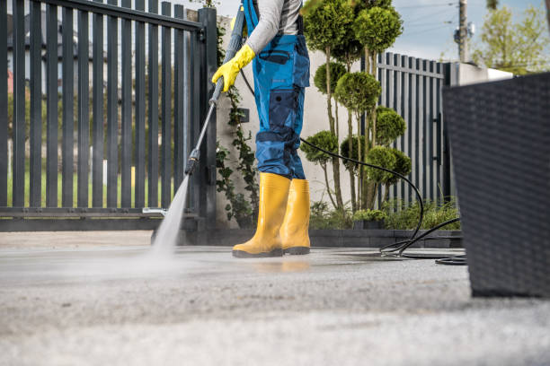 Best Rust Removal  in Brownsville, TX