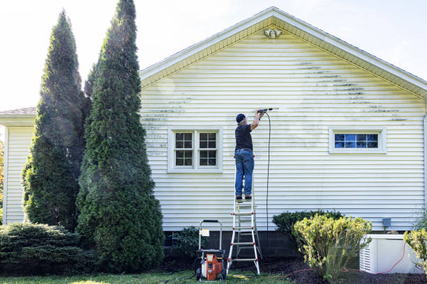 Best Fence Cleaning  in Brownsville, TX